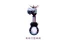 電動(dòng)刀型閘閥