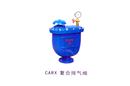CARX 復(fù)合排氣閥