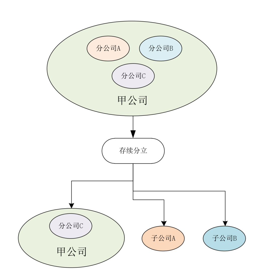 分公司轉為子公司的財稅處理